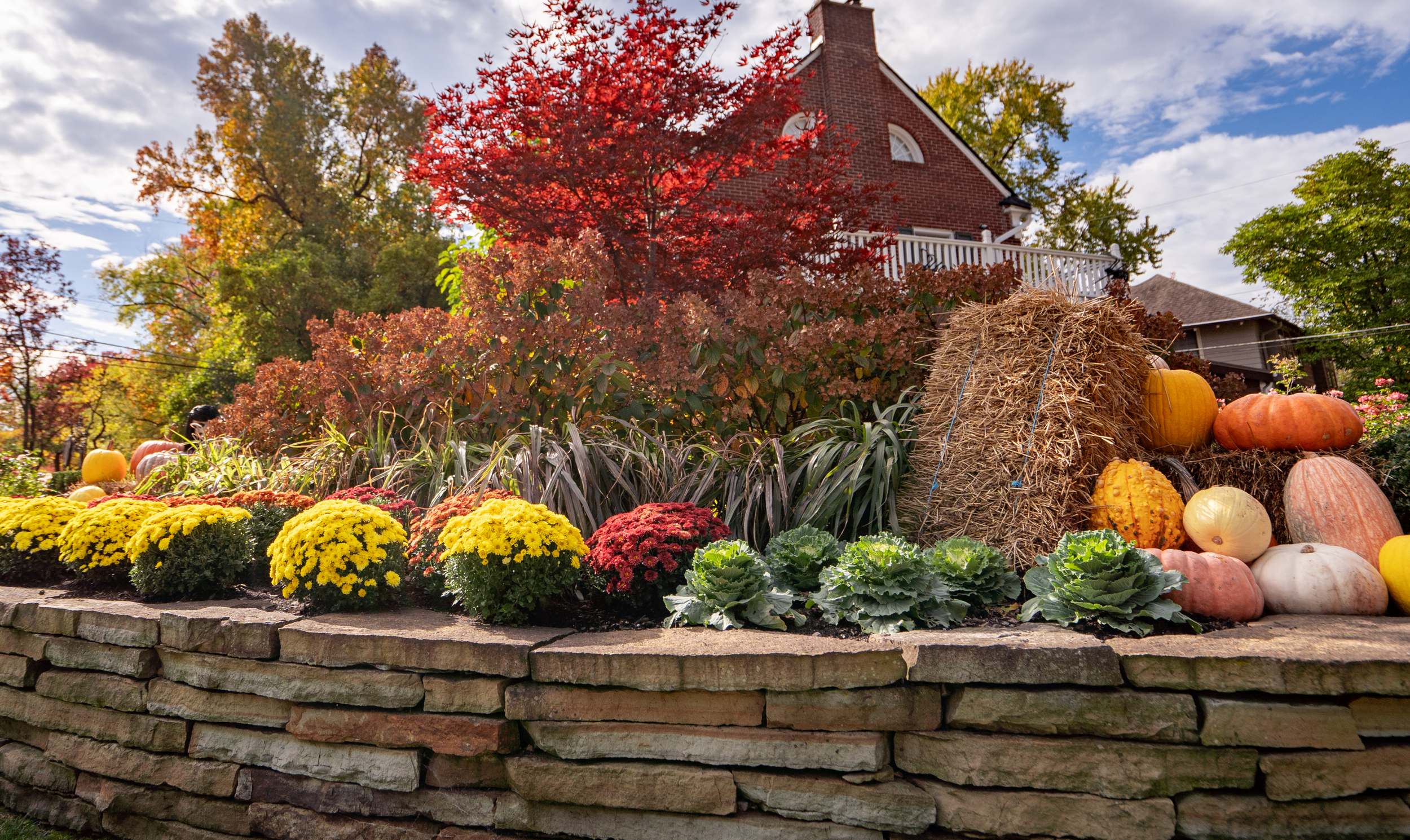 Landscaping, Outdoor Kitchen, Landscape Design, Lighting Powell